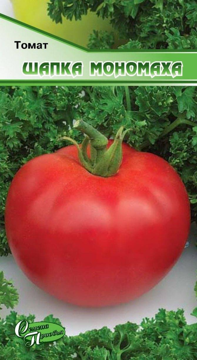 Описание, характеристика, посев на рассаду, подкормка, урожайность, фото, видео и самые распространенные болезни томатов сорта «шапка мономаха».