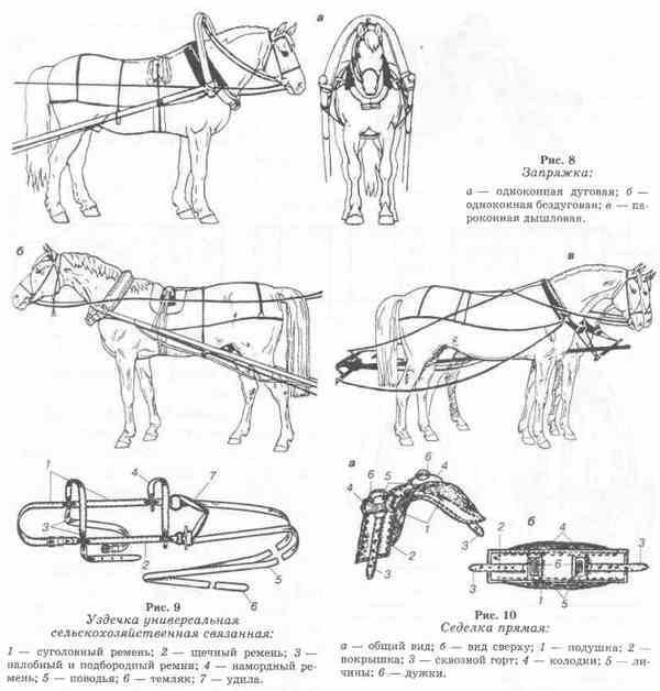Сбруя для лошадей схема