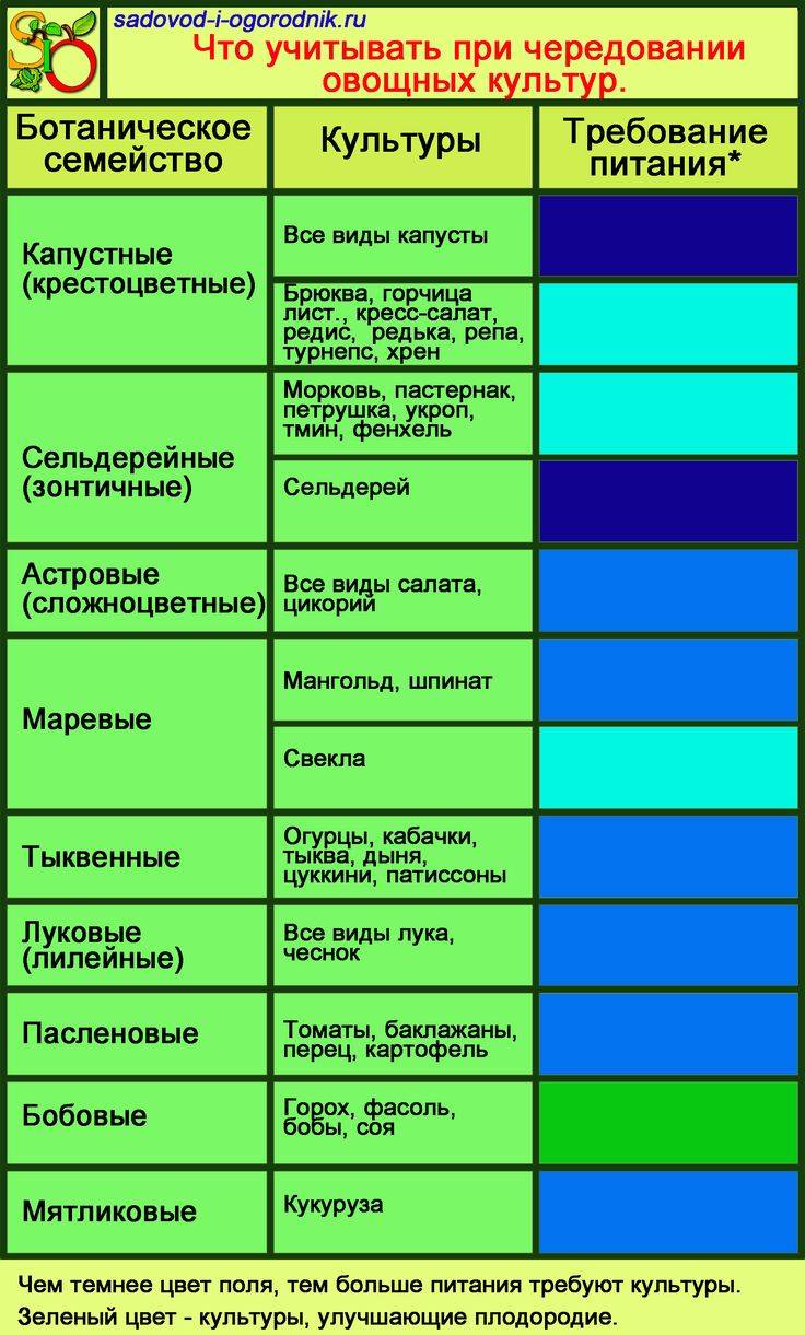 Схема севооборота овощных культур на дачном участке таблица