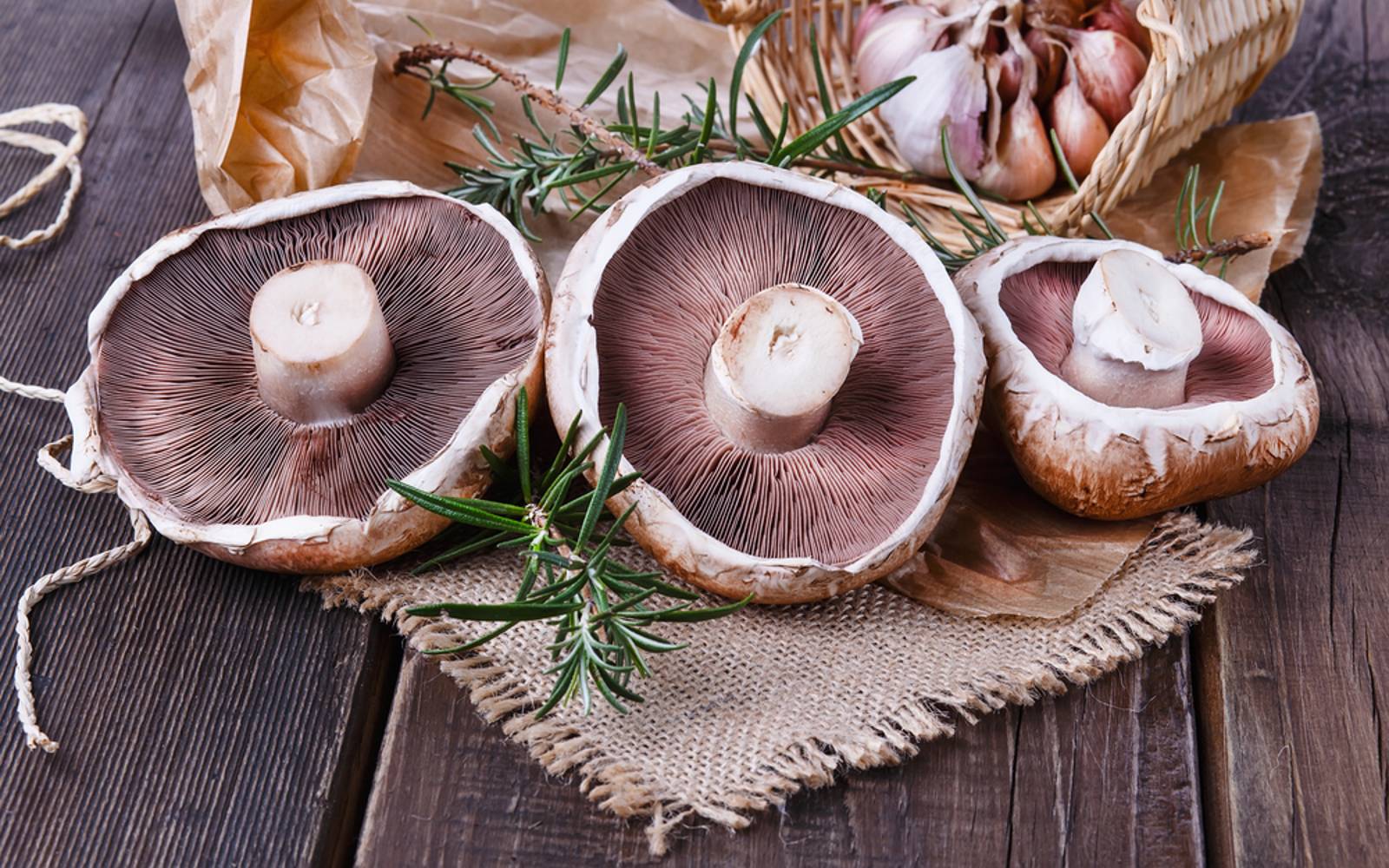 Как приготовить грибы портобелло - wikihow