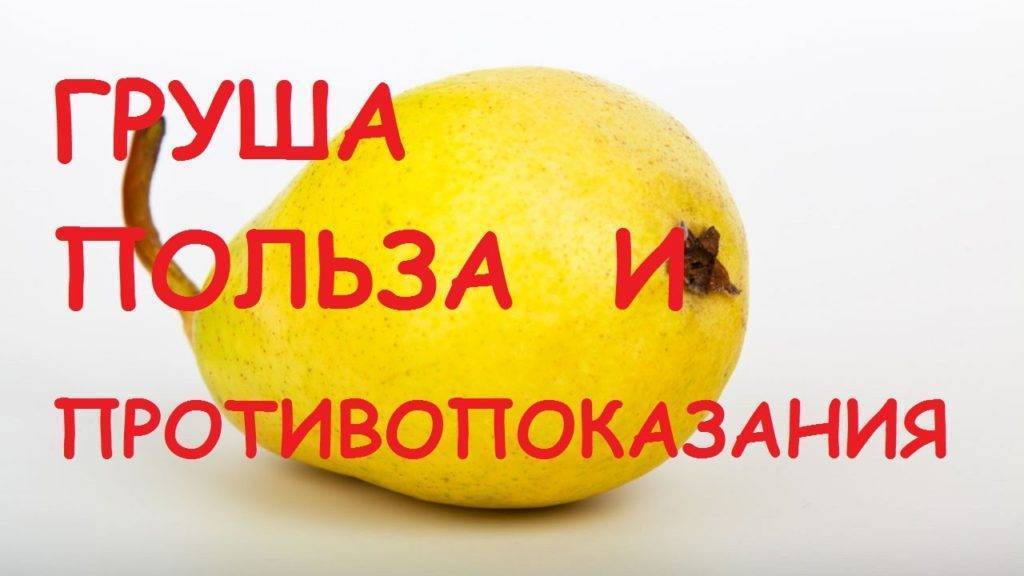 Груша