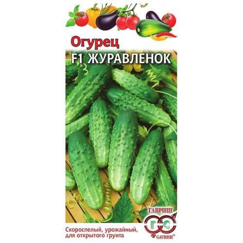 Сорт огурцов «журавленок» от крымских селекционеров для выращивания в теплом климате