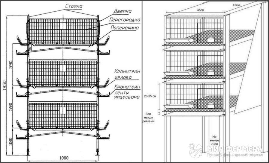 Схема клетки для перепелов
