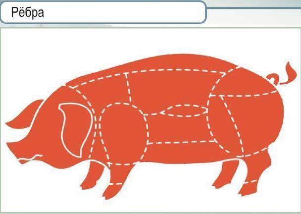 Почечное мясо свинины где находится фото | ваши поделки.ру