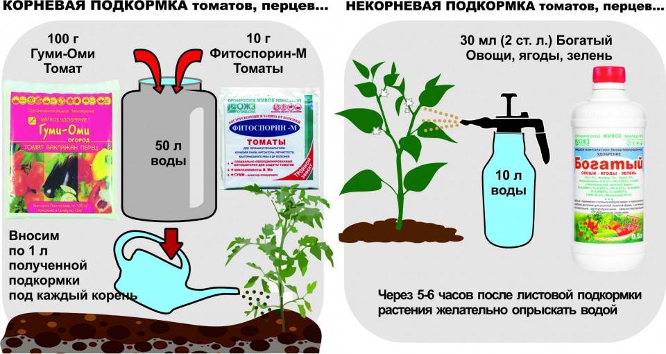 Подкормка томатов: когда и чем подкармливать помидоры во время цветения и плодоношения, как повысить урожайность