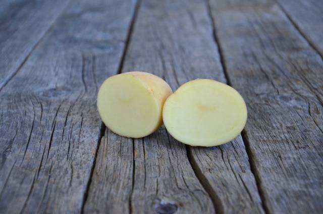 Раннеспелый столовый сорт картофеля «агата» — вкусовые качества