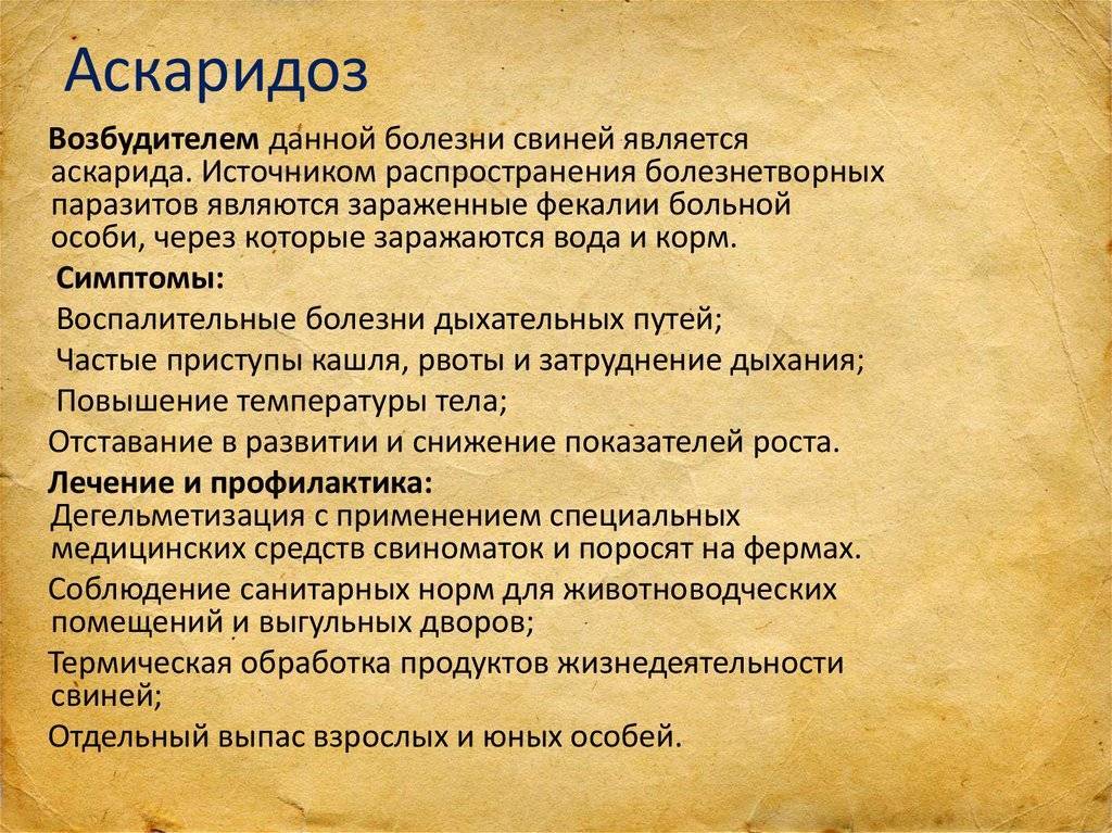 Дизентерия свиней возбудитель, лечение дизентерии свиней (фото)