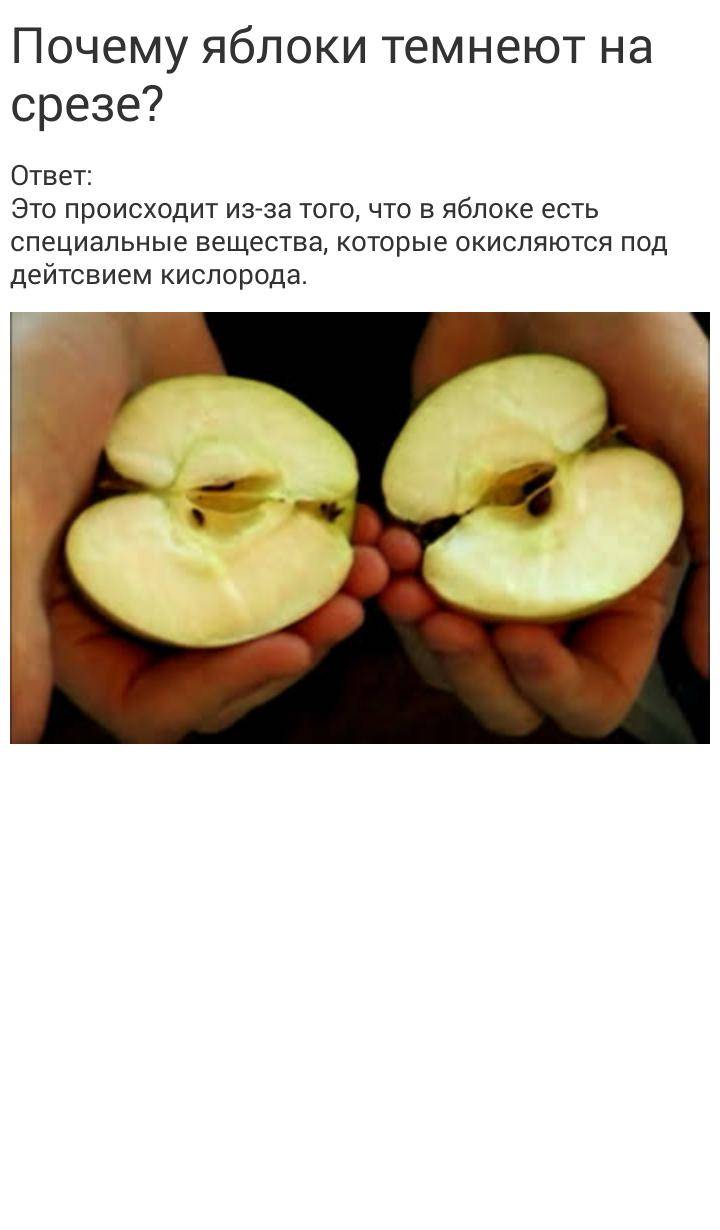 Почему яблоко темнеет: что делать — русский завтрак