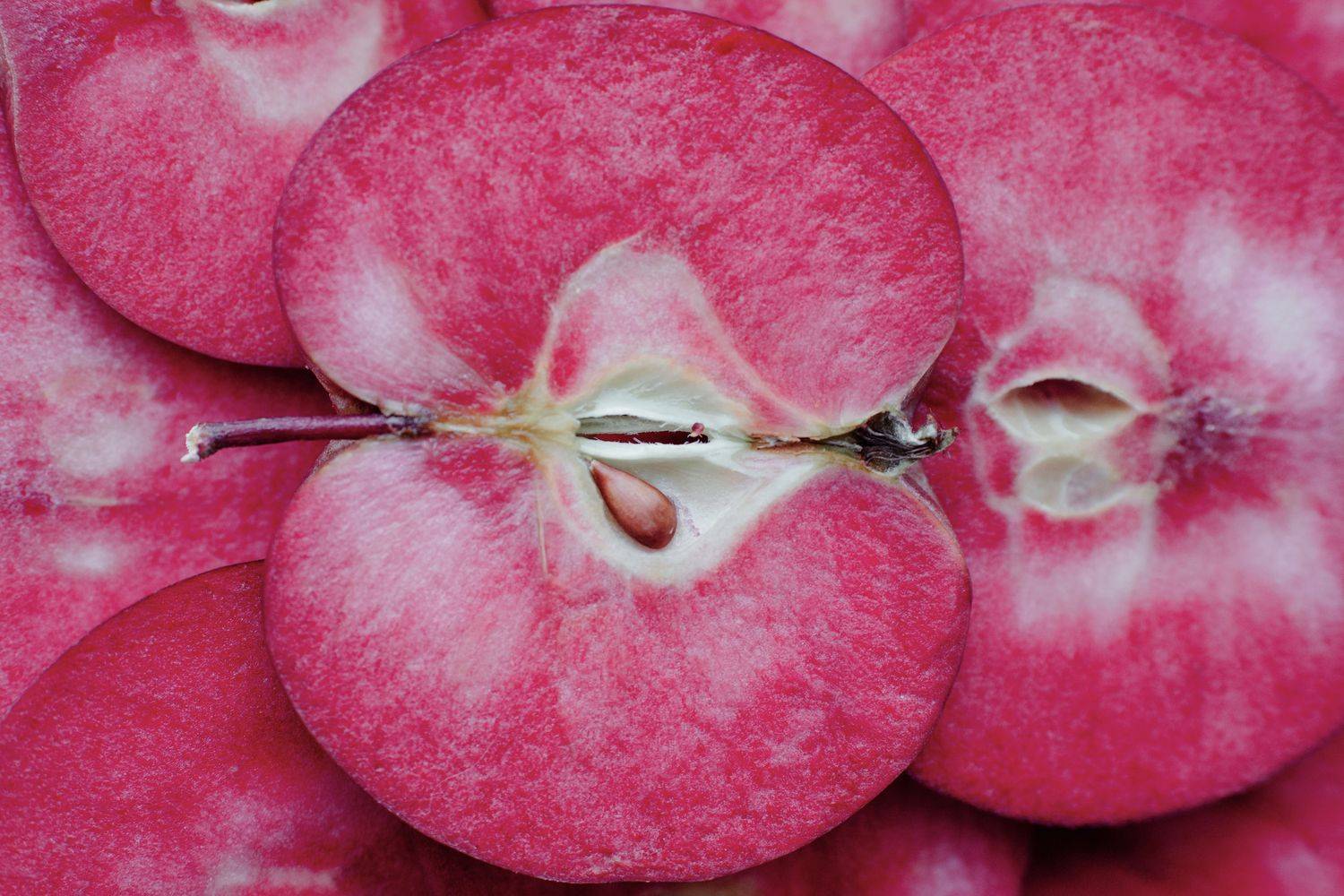 Сорт яблок с розовой мякотью — розовый жемчуг: описание, уход, посадка и обрезка