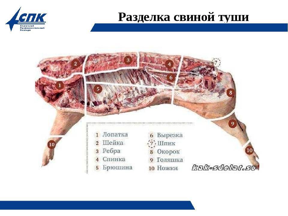 Свинина по частям название туши фото с описанием