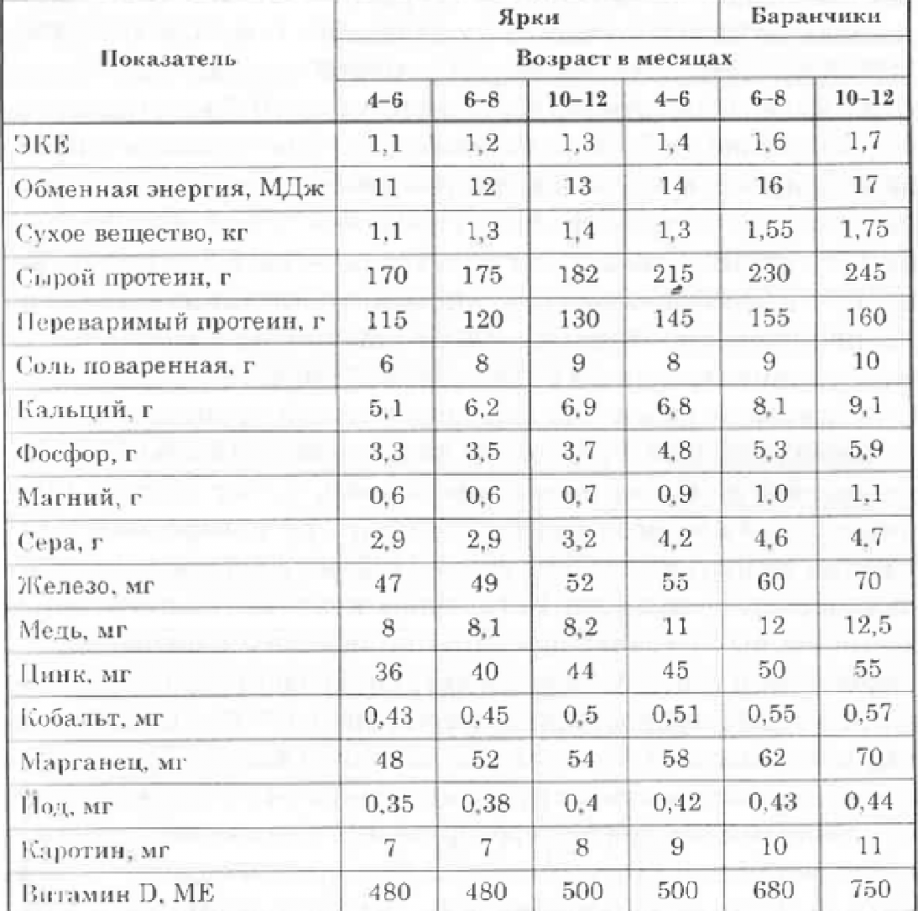Содержание овец зимой: на улице, в помещении, какую породу выбрать