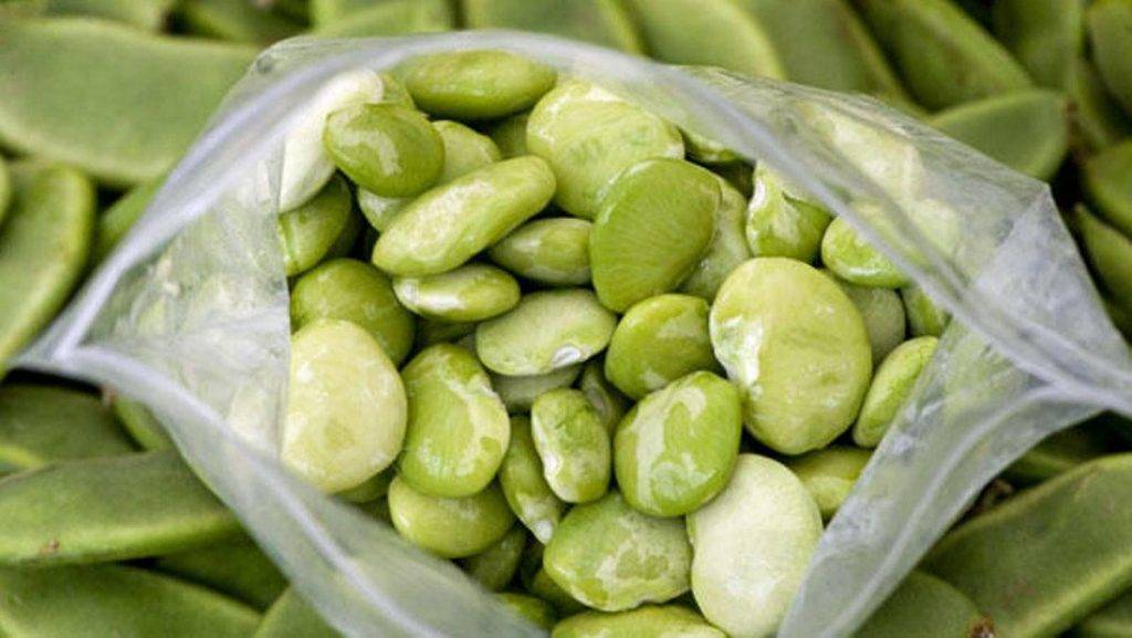 Фасоль - bean - abcdef.wiki