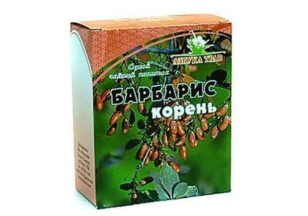 Корень барбариса: лечебные свойства, плоды, полезные свойства и противопоказания