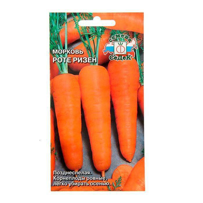 Крупноплодная морковь «красный великан» («роте ризен»)