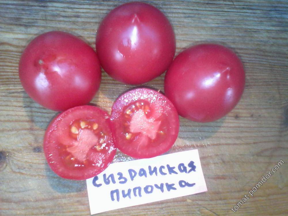 Сорт помидор с пипочкой фото и описание