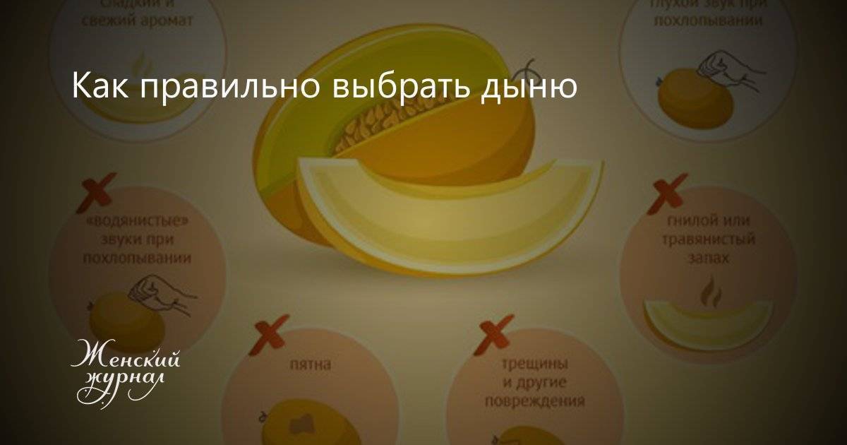 Как не ошибиться с выбором арбуза и дыни / правила покупки спелых плодов – статья из рубрики "что съесть" на food.ru