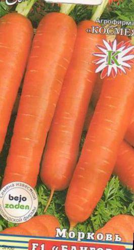 Сорт моркови бангор. описание, фото, отзывы