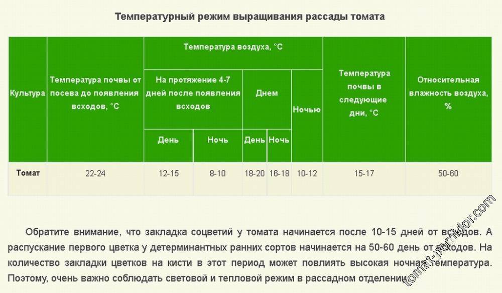 Рассада огурцов какую температуру выдерживает ночью. Температурный график для выращивания рассады томатов. Температура почвы для рассады. Температурный режим для рассады томатов в теплице. Температура почвы для высадки рассады.