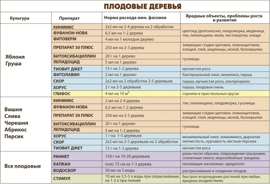 Схема опрыскивания плодовых деревьев