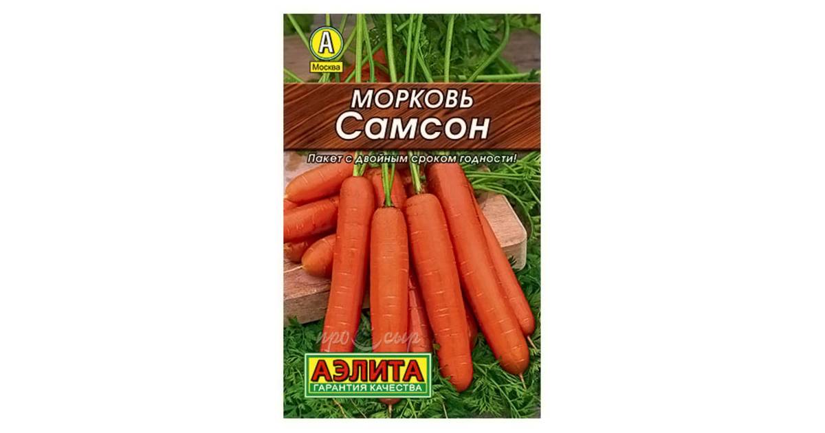 Морковь самсон: отзывы, фото, описание сорта
