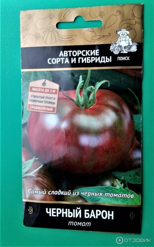 Описание сорта томата шаста, выращивание и уход за растением
