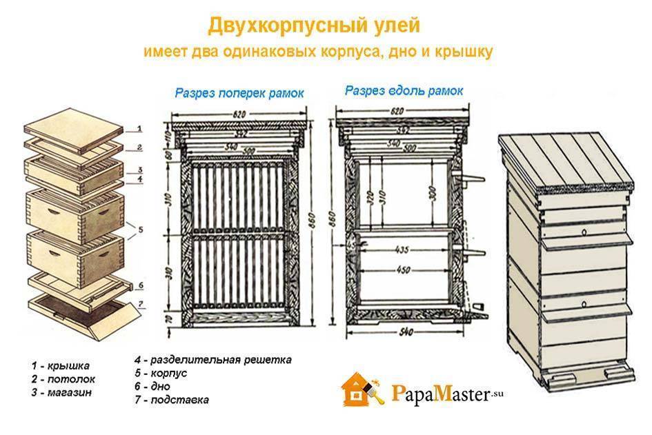 Схема строения улья для пчел