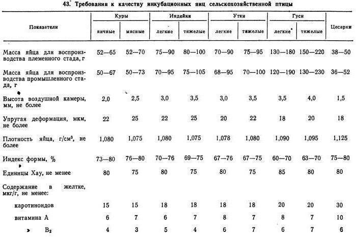 Схема инкубации цесарок