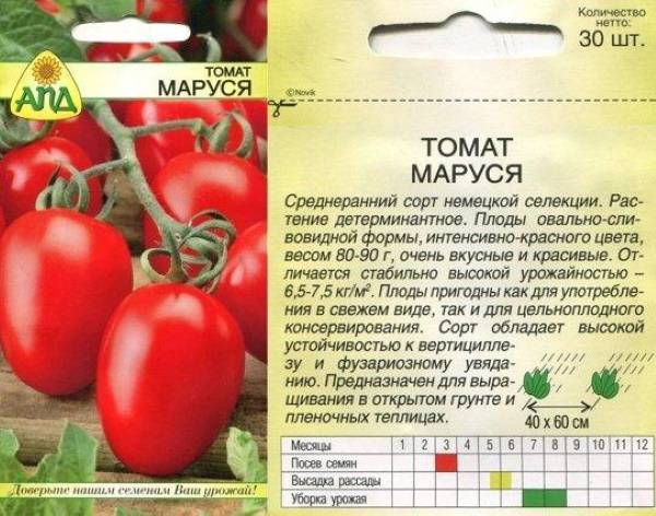 Сорт томата маруся — описание и правила выращивания