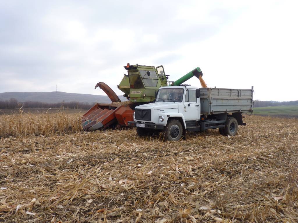 Технологический процесс посева, выращивания и уборки кукурузы на зерно