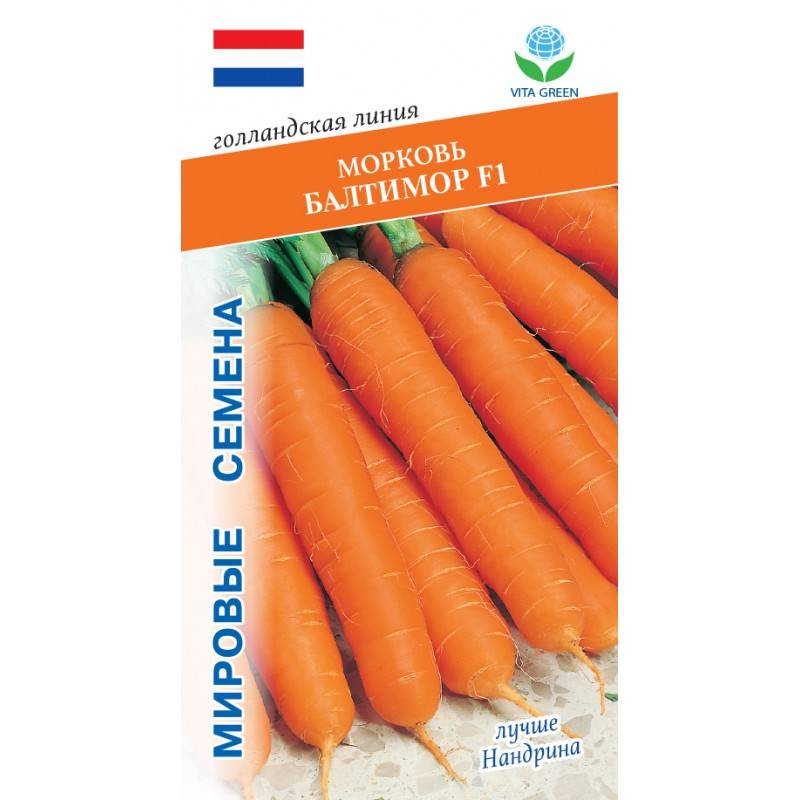 Лучшие сорта моркови для открытого грунта: самые сладкие, сочные и урожайные, ранние и поздние