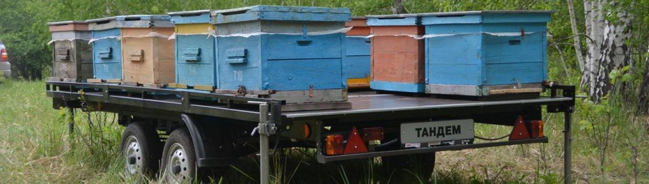 Прицеп для перевозки пчел: виды, как сделать своими руками, модели кочевых пасек