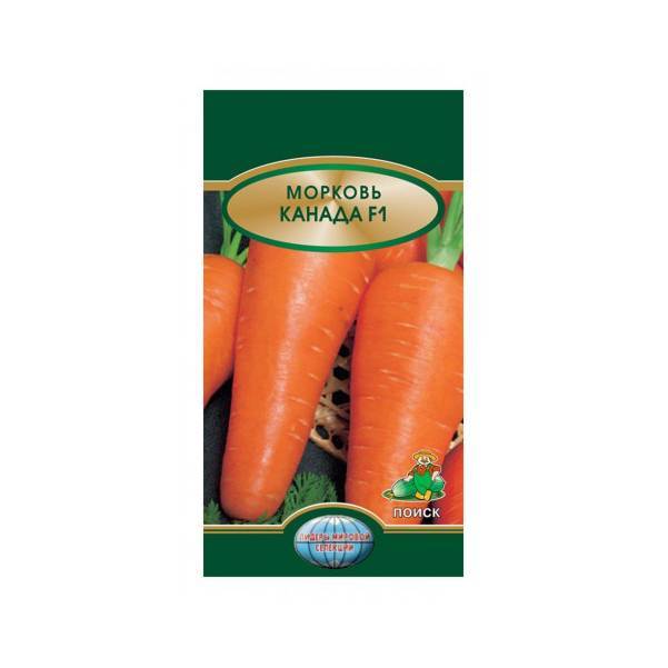 Морковь сорта канада f1: овощ для тяжелого грунта. описание и характеристика