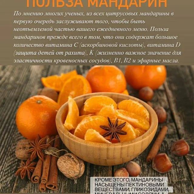 Чем полезны мандарины для организма женщины, сорта с описанием (фото)