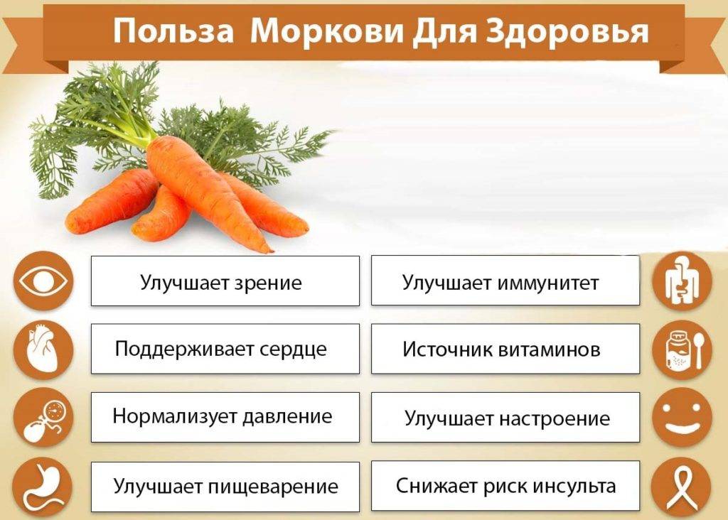 Морковь при беременности: можно ли есть сырую, по-корейски или пить сок?