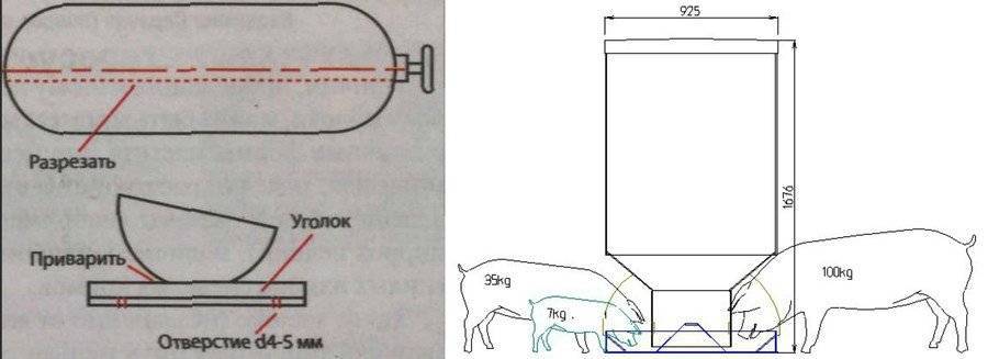 Бункерная кормушка для свиней: как выбрать и сделать кормушку для поросят? чертежи и размеры постройки бункерной кормушки