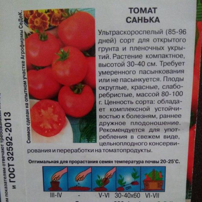 Томат импала: описание сорта, характеристики и урожайность с фото