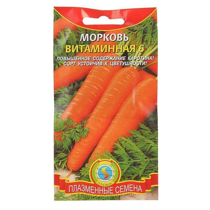 Морковь сорта «витаминная 6»: описание и несколько советов по выращиванию