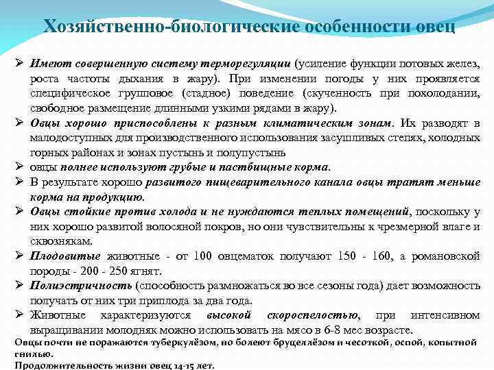 Хозяйственно биологические особенности овец презентация