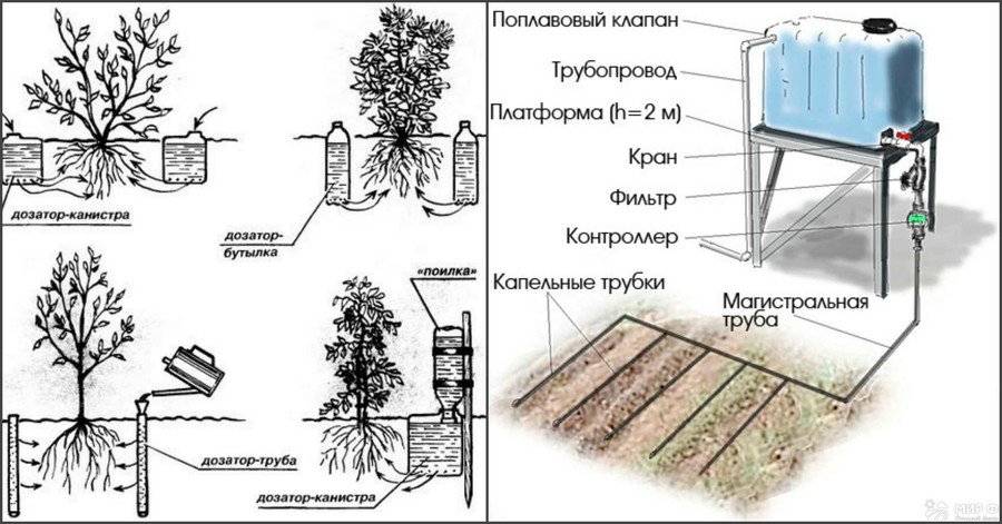 Капельный полив своими руками для дачи без затрат. сделай сам!