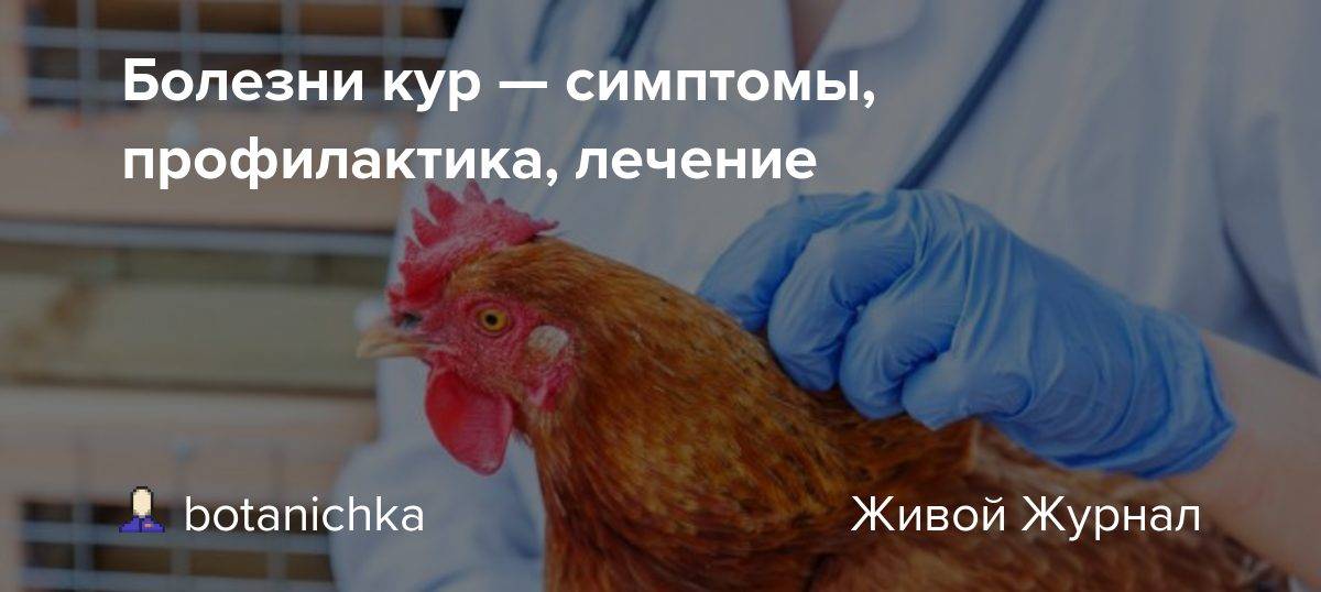 Интоксикация: стадии, причины и лечение | университетская клиника