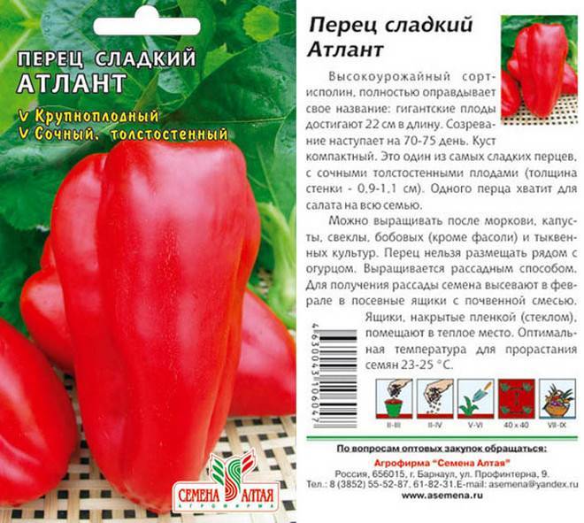 Лучшие сорта сладкого перца: топ-15 самых вкусных и урожайных в 2023 году