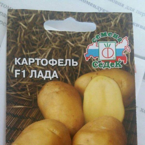 Картофель дева: характеристики сорта, вкусовые качества, отзывы