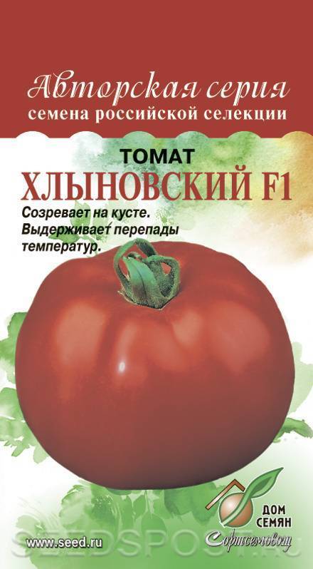 Подойдет для начинающих томат «хлыновский» f1: описание сорта, характеристика, урожайность помидоров