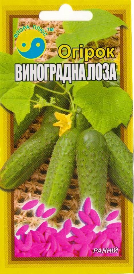 Огурцы на балконе