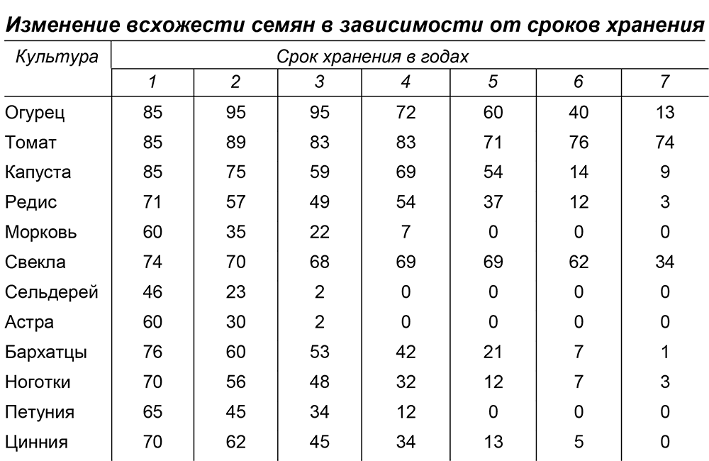 Как нужно посадить морковь чтобы быстро взошла — способы ускорения прорастания