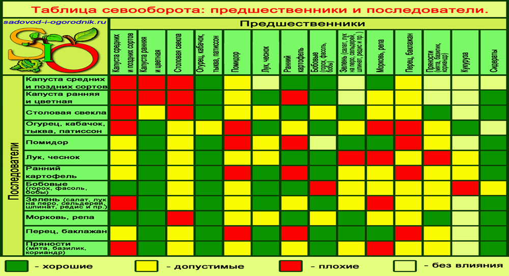 После каких растений можно сажать