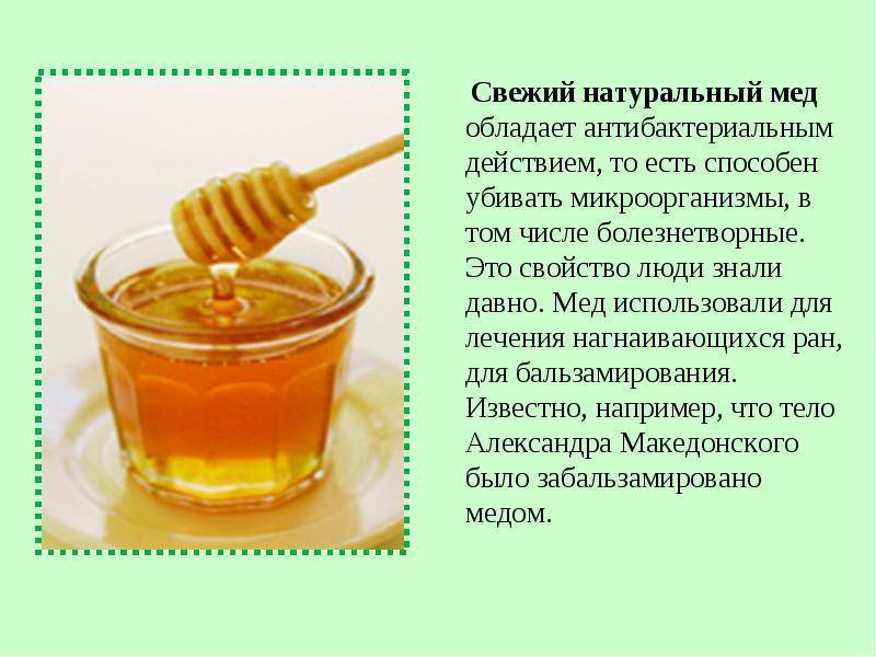 Прополисный мёд — вкусность с большим процентом пользы