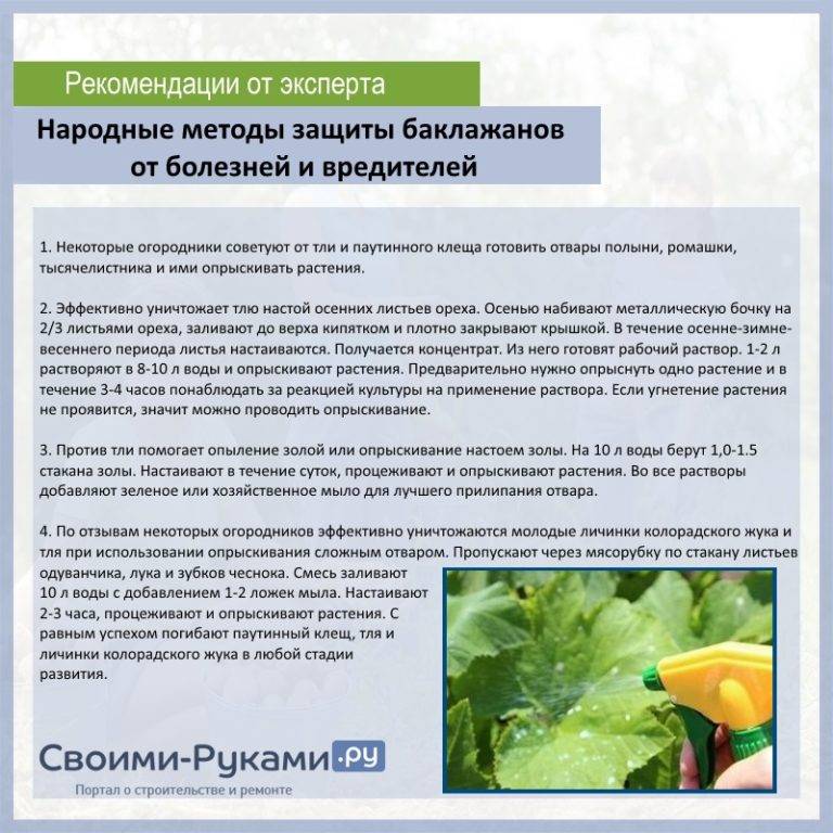 Система защиты огурца от вредителей и болезней в зао «прогресс» тимашевского района 
ооо "биотехагро"