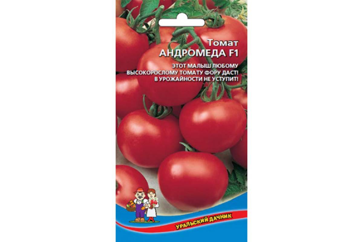 Томат андромеда: характеристика, отзывы, выращивание и уход, фото