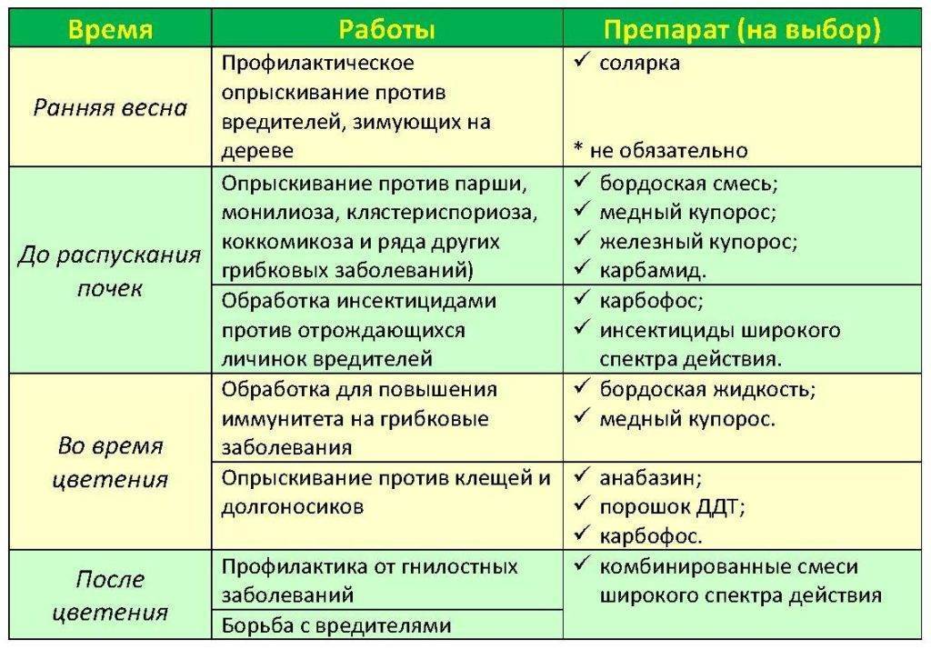 Обработка смородины весной в 2021 году от болезней и вредителей: сроки, лучшие средства